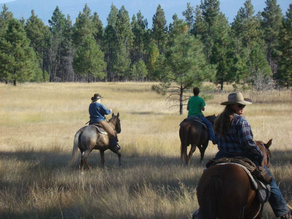 Hotel Dream Haven Guest Ranch Marion Exteriér fotografie